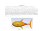 run cfd, fea and complex fluid flow simulations in ansys